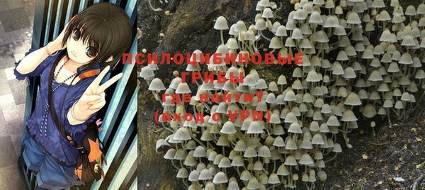 прущая мука Абинск