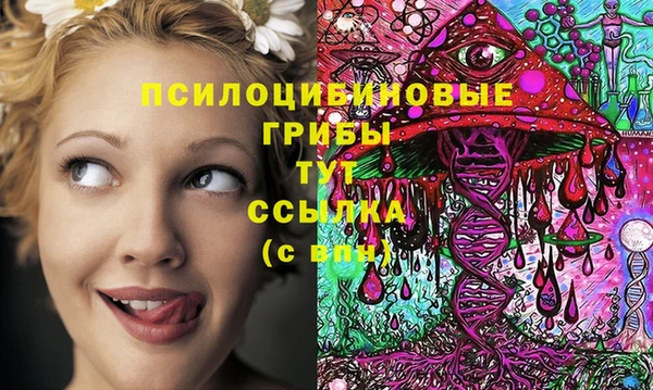 спайс Алексеевка
